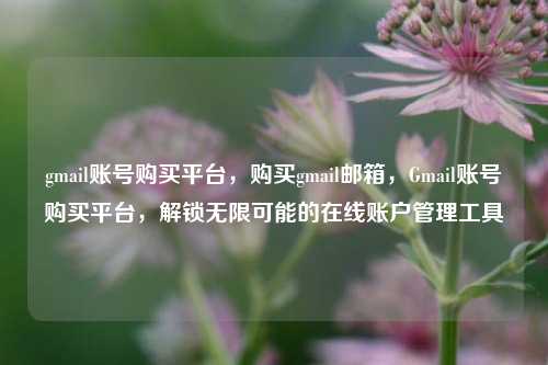 gmail账号购买平台，购买gmail邮箱，Gmail账号购买平台，解锁无限可能的在线账户管理工具
