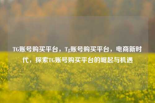 TG账号购买平台	，Tg账号购买平台，电商新时代，探索TG账号购买平台的崛起与机遇  第1张