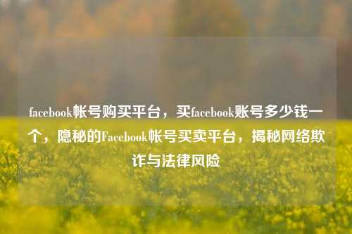 facebook帐号购买平台，买facebook账号多少钱一个，隐秘的Facebook帐号买卖平台，揭秘网络欺诈与法律风险