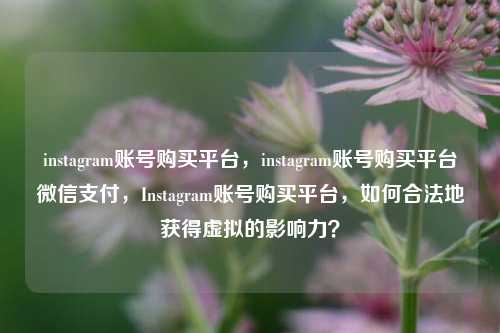 instagram账号购买平台，instagram账号购买平台微信支付，Instagram账号购买平台，如何合法地获得虚拟的影响力？