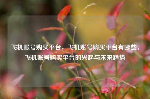 飞机账号购买平台，飞机账号购买平台有哪些，飞机账号购买平台的兴起与未来趋势