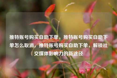 推特账号购买自助下单，推特账号购买自助下单怎么取消，推特账号购买自助下单，解锁社交媒体影响力的新途径