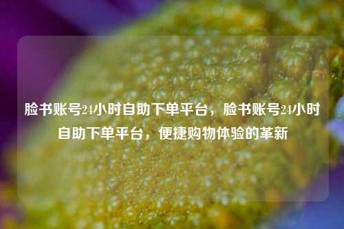 脸书账号24小时自助下单平台，脸书账号24小时自助下单平台，便捷购物体验的革新