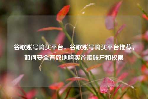 谷歌账号购买平台，谷歌账号购买平台推荐，如何安全有效地购买谷歌账户和权限