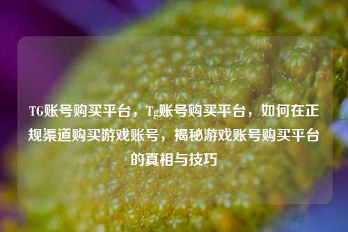 TG账号购买平台，Tg账号购买平台，如何在正规渠道购买游戏账号，揭秘游戏账号购买平台的真相与技巧