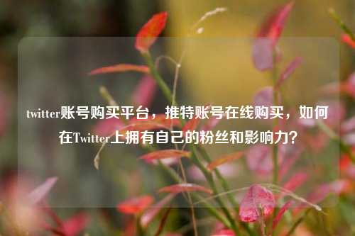 twitter账号购买平台，推特账号在线购买，如何在Twitter上拥有自己的粉丝和影响力？