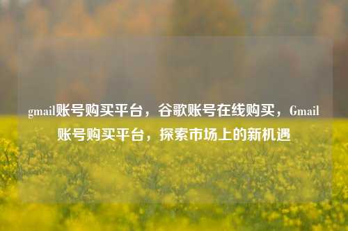 gmail账号购买平台，谷歌账号在线购买，Gmail账号购买平台，探索市场上的新机遇