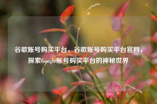 谷歌账号购买平台，谷歌账号购买平台官网，探索Google账号购买平台的神秘世界