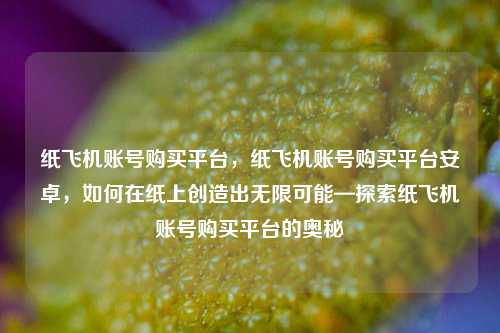纸飞机账号购买平台，纸飞机账号购买平台安卓，如何在纸上创造出无限可能—探索纸飞机账号购买平台的奥秘