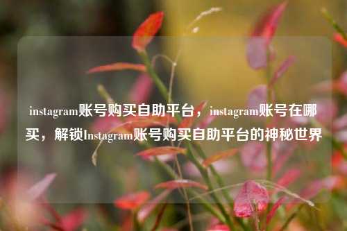 instagram账号购买自助平台，instagram账号在哪买，解锁Instagram账号购买自助平台的神秘世界