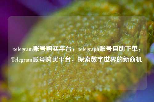 telegram账号购买平台，telegraph账号自助下单，Telegram账号购买平台，探索数字世界的新商机