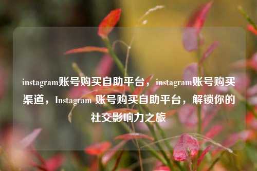 instagram账号购买自助平台，instagram账号购买渠道，Instagram 账号购买自助平台，解锁你的社交影响力之旅
