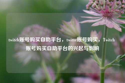 twitch账号购买自助平台，twitte账号购买，Twitch 账号购买自助平台的兴起与影响