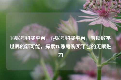 TG账号购买平台，Tg账号购买平台，解锁数字世界的新可能，探索TG账号购买平台的无限魅力