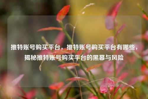 推特账号购买平台，推特账号购买平台有哪些，揭秘推特账号购买平台的黑幕与风险