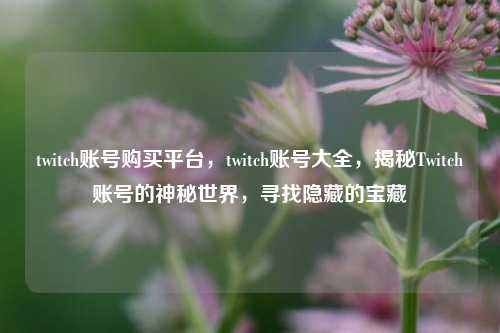 twitch账号购买平台，twitch账号大全，揭秘Twitch账号的神秘世界，寻找隐藏的宝藏