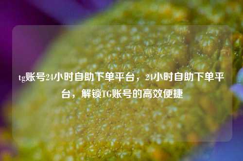 tg账号24小时自助下单平台，24小时自助下单平台，解锁TG账号的高效便捷