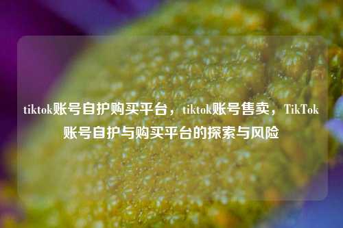 tiktok账号自护购买平台，tiktok账号售卖，TikTok账号自护与购买平台的探索与风险
