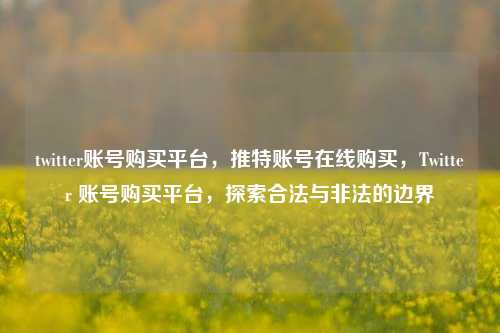 twitter账号购买平台，推特账号在线购买，Twitter 账号购买平台，探索合法与非法的边界