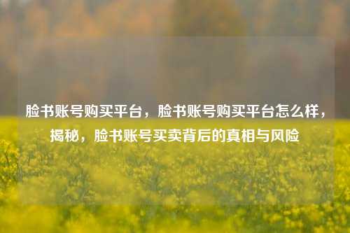 脸书账号购买平台，脸书账号购买平台怎么样，揭秘，脸书账号买卖背后的真相与风险