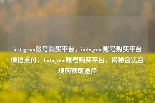instagram账号购买平台，instagram账号购买平台微信支付，Instagram账号购买平台，揭秘合法合规的获取途径