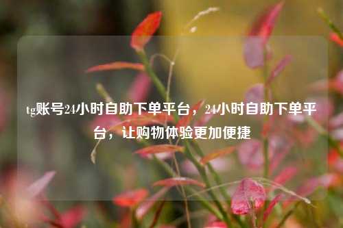 tg账号24小时自助下单平台，24小时自助下单平台，让购物体验更加便捷