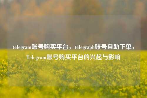 telegram账号购买平台，telegraph账号自助下单，Telegram账号购买平台的兴起与影响