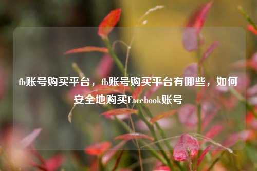 fb账号购买平台，fb账号购买平台有哪些，如何安全地购买Facebook账号