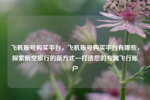 飞机账号购买平台，飞机账号购买平台有哪些，探索航空旅行的新方式—打造您的专属飞行账户