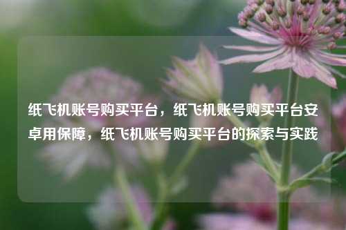 纸飞机账号购买平台，纸飞机账号购买平台安卓用保障，纸飞机账号购买平台的探索与实践