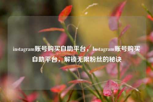 instagram账号购买自助平台，Instagram账号购买自助平台，解锁无限粉丝的秘诀
