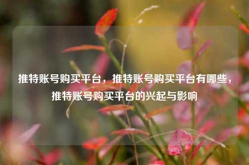 推特账号购买平台，推特账号购买平台有哪些，推特账号购买平台的兴起与影响