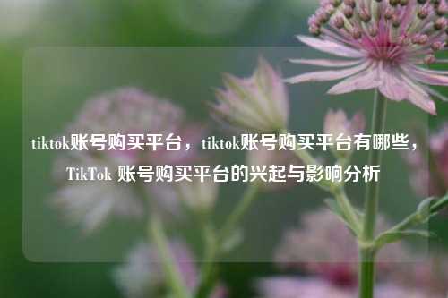tiktok账号购买平台，tiktok账号购买平台有哪些，TikTok 账号购买平台的兴起与影响分析