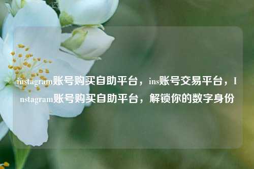 instagram账号购买自助平台，ins账号交易平台，Instagram账号购买自助平台，解锁你的数字身份