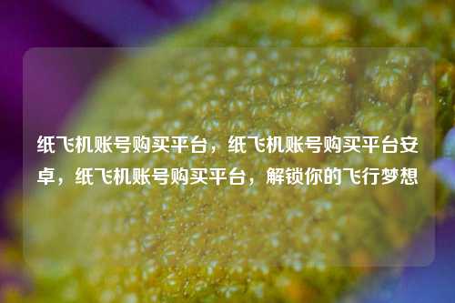 纸飞机账号购买平台，纸飞机账号购买平台安卓，纸飞机账号购买平台，解锁你的飞行梦想