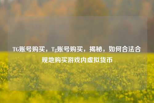 TG账号购买	，Tg账号购买，揭秘，如何合法合规地购买游戏内虚拟货币  第1张