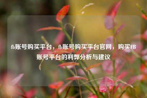 fb账号购买平台，fb账号购买平台官网，购买FB账号平台的利弊分析与建议