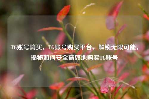 TG账号购买，TG账号购买平台，解锁无限可能，揭秘如何安全高效地购买TG账号