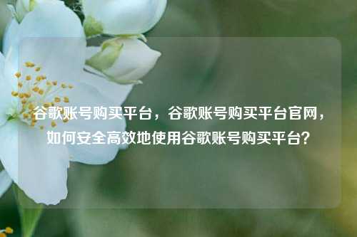 谷歌账号购买平台	，谷歌账号购买平台官网，如何安全高效地使用谷歌账号购买平台？  第1张