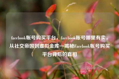 facebook帐号购买平台，facebook账号哪里有卖，从社交帝国到虚拟金库—揭秘Facebook帐号购买平台背后的真相