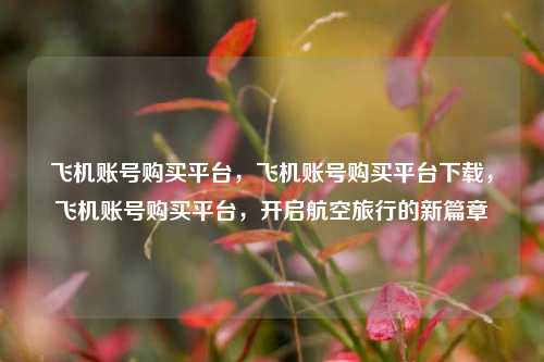 飞机账号购买平台，飞机账号购买平台下载，飞机账号购买平台，开启航空旅行的新篇章