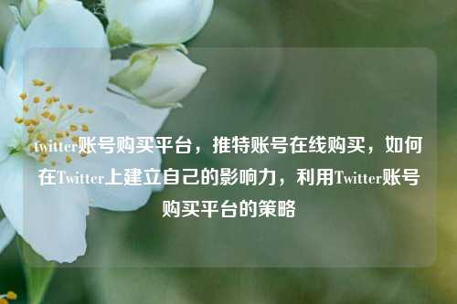 twitter账号购买平台，推特账号在线购买，如何在Twitter上建立自己的影响力，利用Twitter账号购买平台的策略