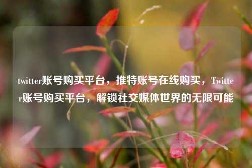 twitter账号购买平台，推特账号在线购买，Twitter账号购买平台，解锁社交媒体世界的无限可能