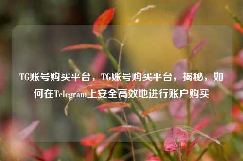 TG账号购买平台，TG账号购买平台	，揭秘，如何在Telegram上安全高效地进行账户购买  第1张
