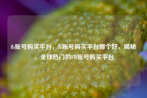 fb账号购买平台，fb账号购买平台哪个好，揭秘，全球热门的FB账号购买平台