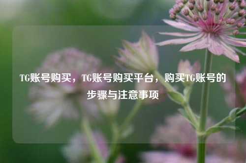 TG账号购买，TG账号购买平台，购买TG账号的步骤与注意事项