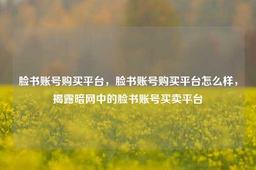 脸书账号购买平台，脸书账号购买平台怎么样，揭露暗网中的脸书账号买卖平台