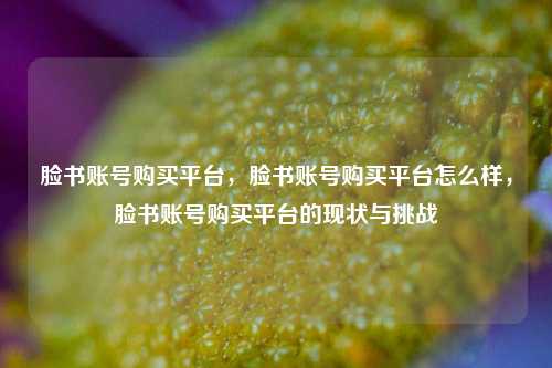 脸书账号购买平台，脸书账号购买平台怎么样	，脸书账号购买平台的现状与挑战  第1张