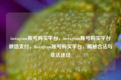 instagram账号购买平台，instagram账号购买平台微信支付	，Instagram账号购买平台，揭秘合法与非法途径  第1张