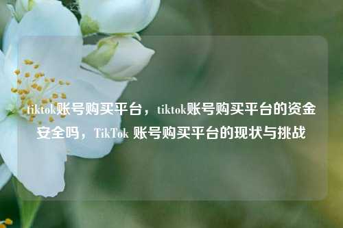 tiktok账号购买平台，tiktok账号购买平台的资金安全吗，TikTok 账号购买平台的现状与挑战